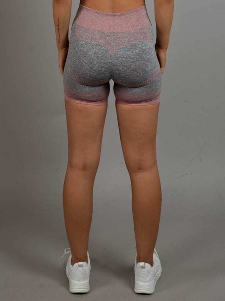 Dignus Seamless shorts grey/pink back