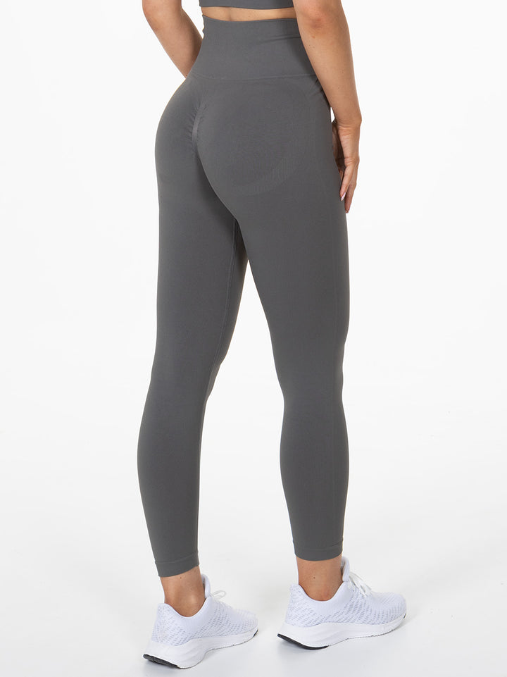 Seamless Tights "Prime" Grey